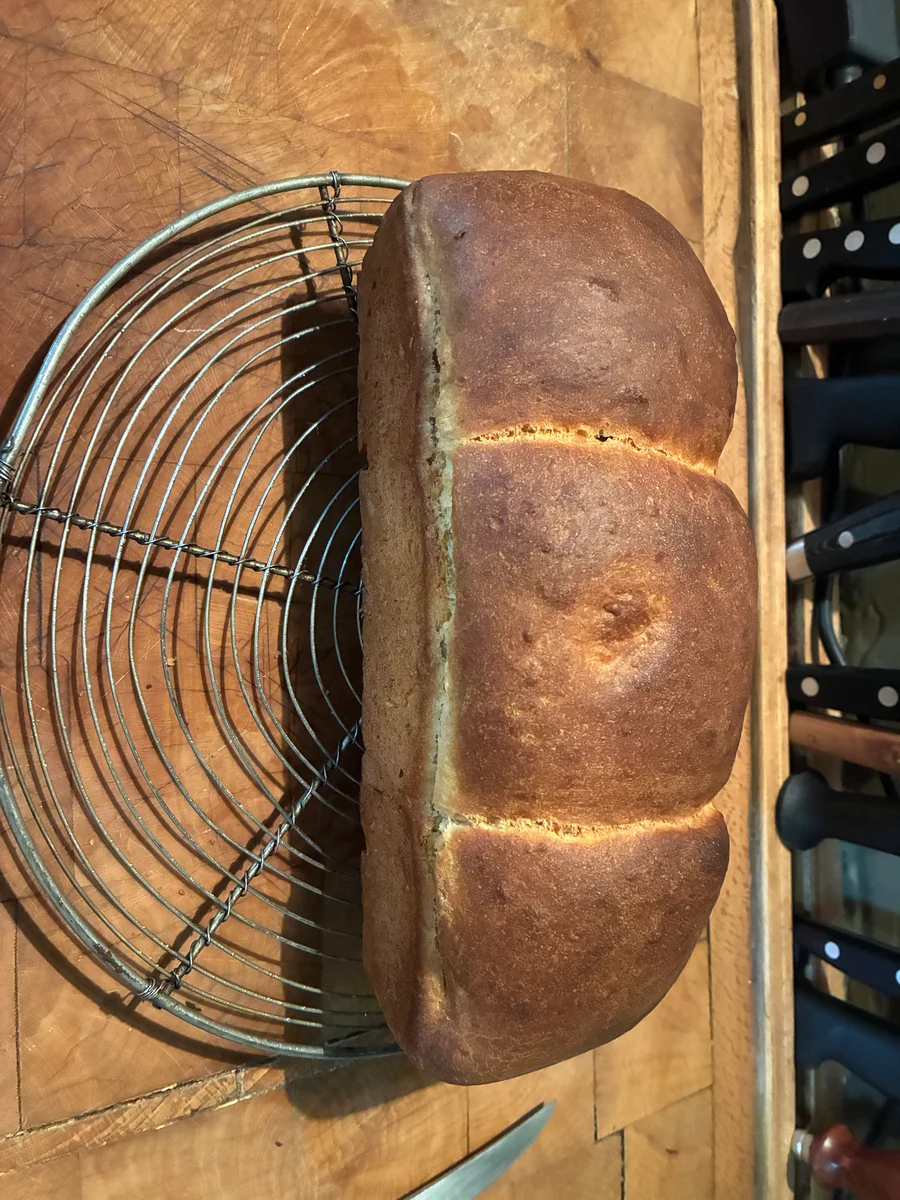 Photo principale de la recette